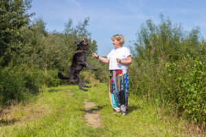 Hond speelt met OOPOEH