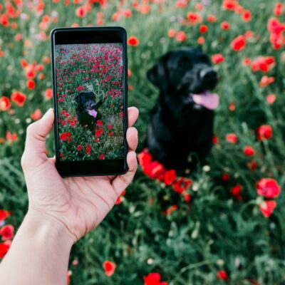Vacature: Matchmaker & Content Creator (32 uur p/w)